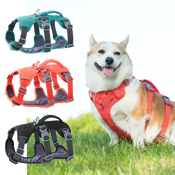 Shock absorbing dog harness designed for comfortable outdoor activities