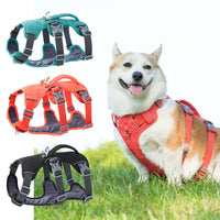 Shock absorbing dog harness designed for comfortable outdoor activities