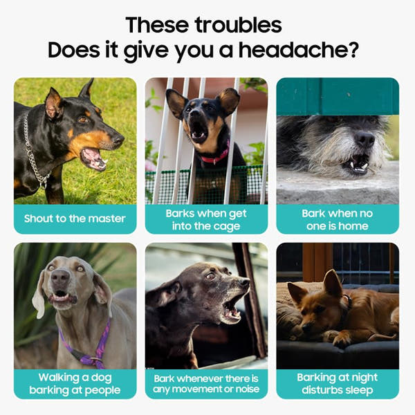Easy-to-use automatic anti-bark device for everyday dog training
