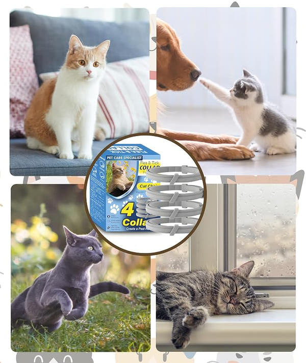 Easy to use anti flea repellent collar for everyday pet care