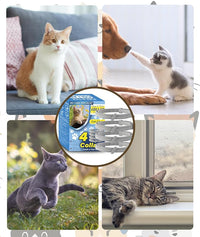 Easy to use anti flea repellent collar for everyday pet care