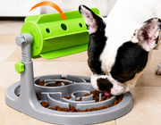 Interactive slow feeder dog bowl with treat toy for healthy pet feeding.
