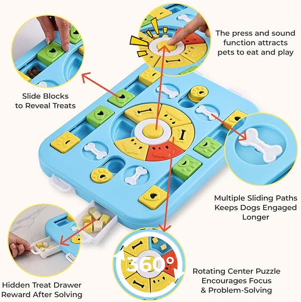 Slow eating dog bowl for controlled food intake