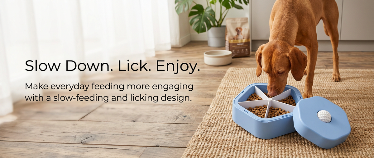 Dog eating from blue interactive slow feeder bowl with divided feeding sections