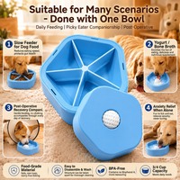 Slow feeding dog bowl designed for dogs that eat food too quickly