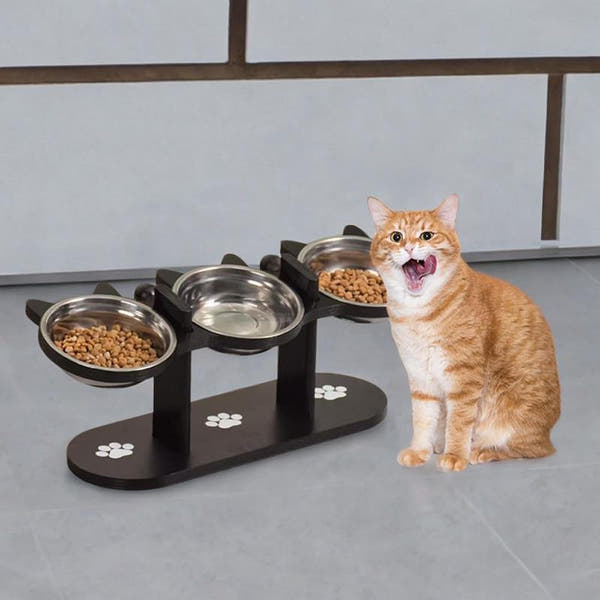 Small dog elevated bowl with compact black feeding stand