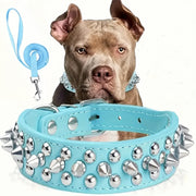 Studded dog collar in light blue
