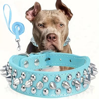 Adjustable chain collar suitable for different dog breeds