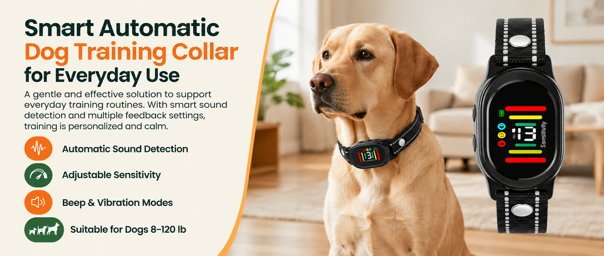 A golden retriever dog wearing a smart automatic dog training collar, shown next to a close-up of the black smart watch with a colorful screen. The left side features product text on a cream background with an orange curved accent line.

