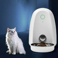 Smart cat feeder with automatic scheduled food portions
