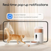Smart cat food feeder with automatic timed food release