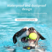 Smart dog collar worn during an everyday outdoor pet training session