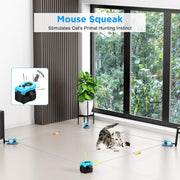 Interactive exercise and activity toy for indoor cats