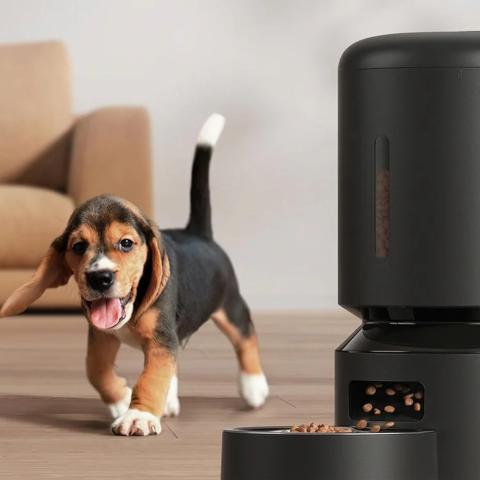Smart pet food dispenser for automatic cat and dog feeding
