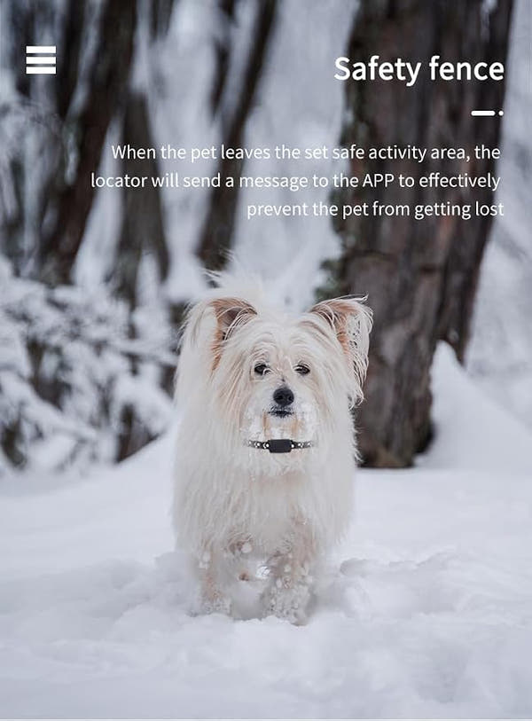 Smart pet GPS locator for dogs and cats with anti-lost alarm