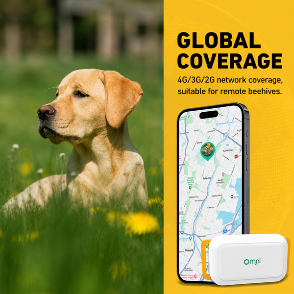Smart pet GPS tracker with 4G connectivity for dog location monitoring
