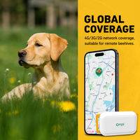 Smart pet GPS tracker with 4G connectivity for dog location monitoring