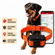 Smartphone application displaying available dog GPS location information