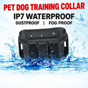 Compatible smartphone application displaying pet GPS location information
