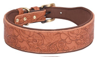 Soft padded leather dog collar designed for comfortable daily wear