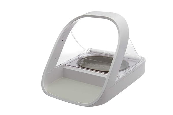 Stainless steel cat bowl with smooth reusable feeding surface