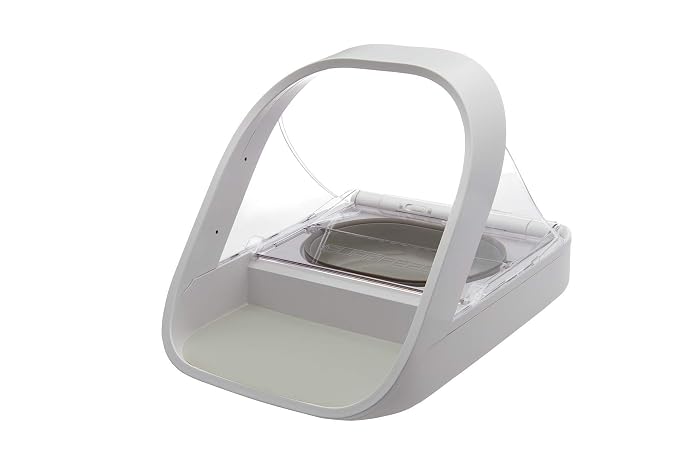 Stainless steel cat bowl with smooth reusable feeding surface