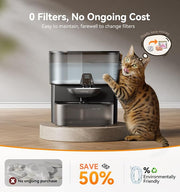 Stainless steel pet feeder and drinking bowl for cats
