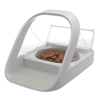Stainless steel pet feeder bowl for cats and compatible dogs