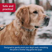 Front view of 3.0 mm steel dog training collar with chain design