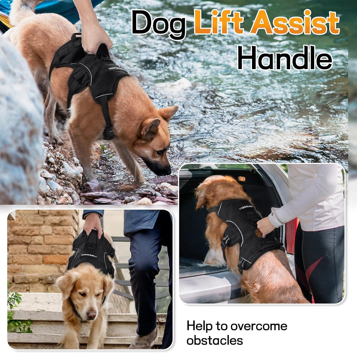 Heavy duty dog harness for training and working dogs