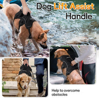 Heavy duty dog harness for training and working dogs