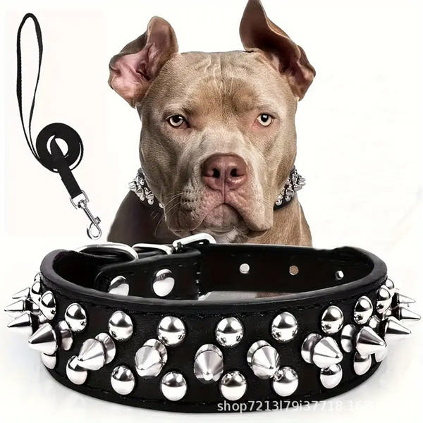 Dog collar with secure metal leash attachment ring