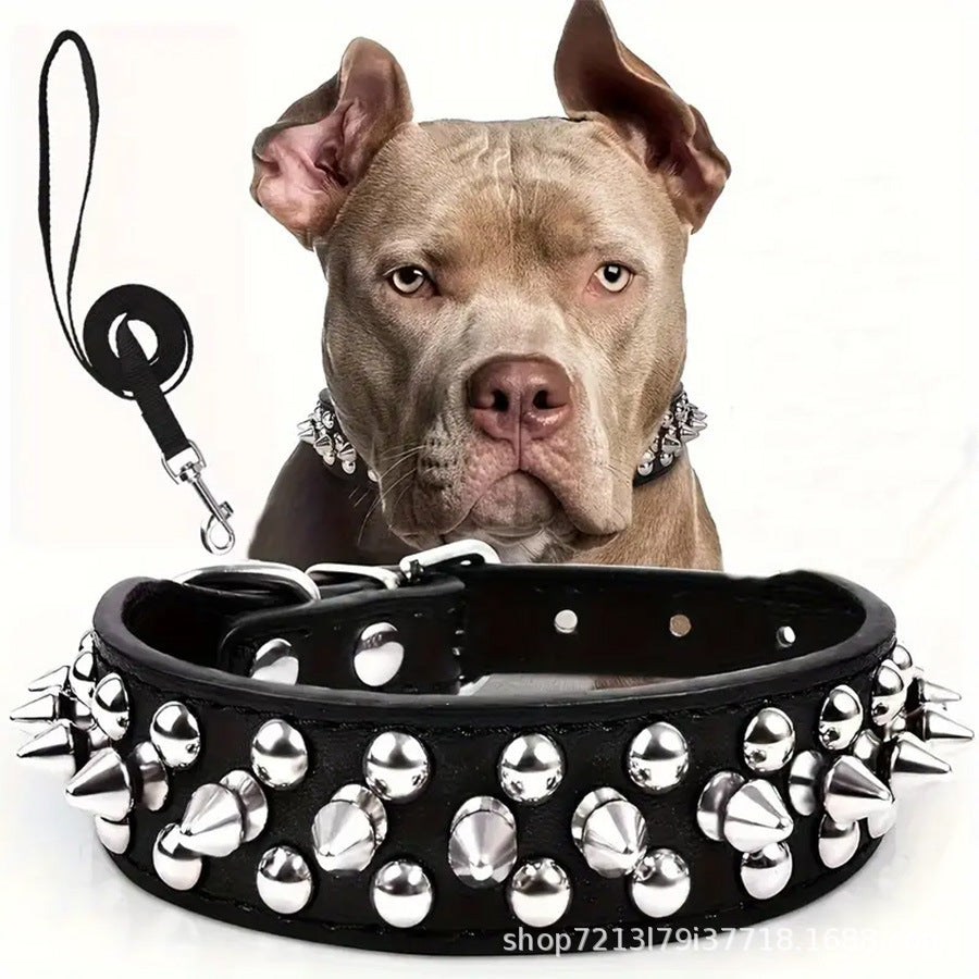 Dog collar with secure metal leash attachment ring
