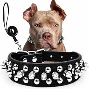 Spiked dog collar in black