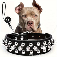 Dog collar with secure metal leash attachment ring