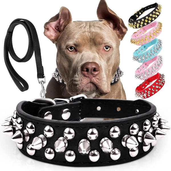 Leather style chain dog collar for small and large dogs