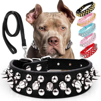 Leather style chain dog collar for small and large dogs