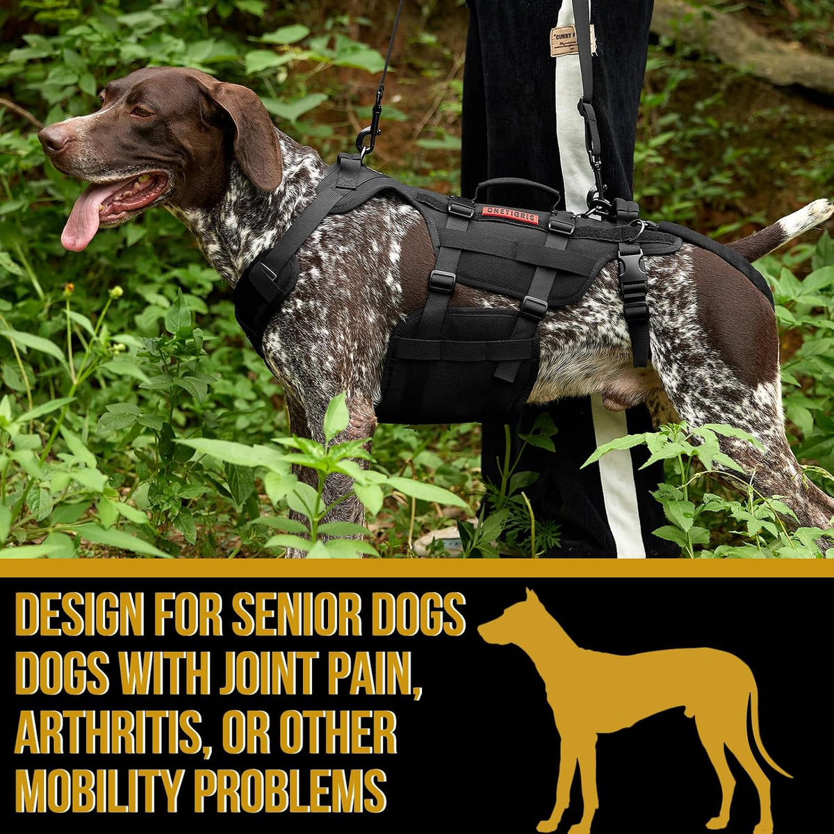 Dog hip support brace designed for back leg mobility assistance