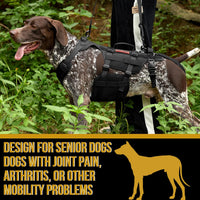 Dog hip support brace designed for back leg mobility assistance