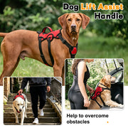 Tactical dog harness with reinforced control handle for comfortable handling