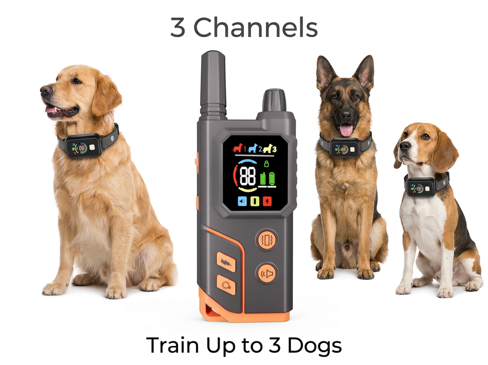 Color screen dog training remote with three selectable channels for controlling up to three receiver collars.