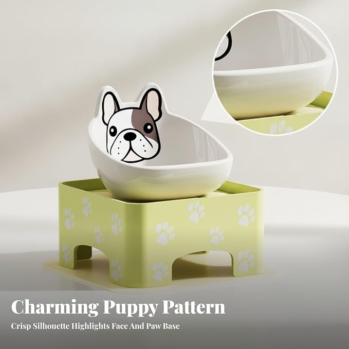 Tilted pet feeder designed for easier food and water access