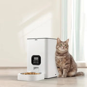 Timed cat feeder with programmable daily meal schedule