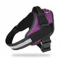 Dog training harness for outdoor activities and daily walking