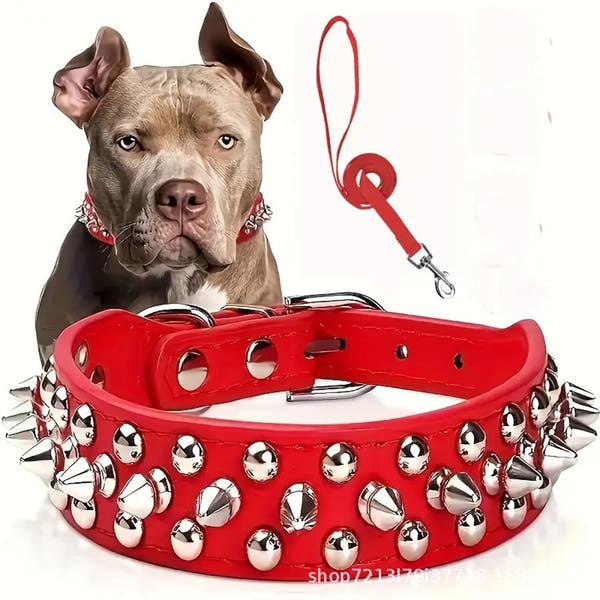 Stylish chain dog collar for fashionable pets