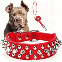 Stylish chain dog collar for fashionable pets