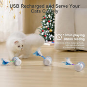 USB rechargeable electric cat toy with rolling ball
