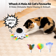 USB rechargeable smart interactive cat toy with automatic laser and moving feather play functions