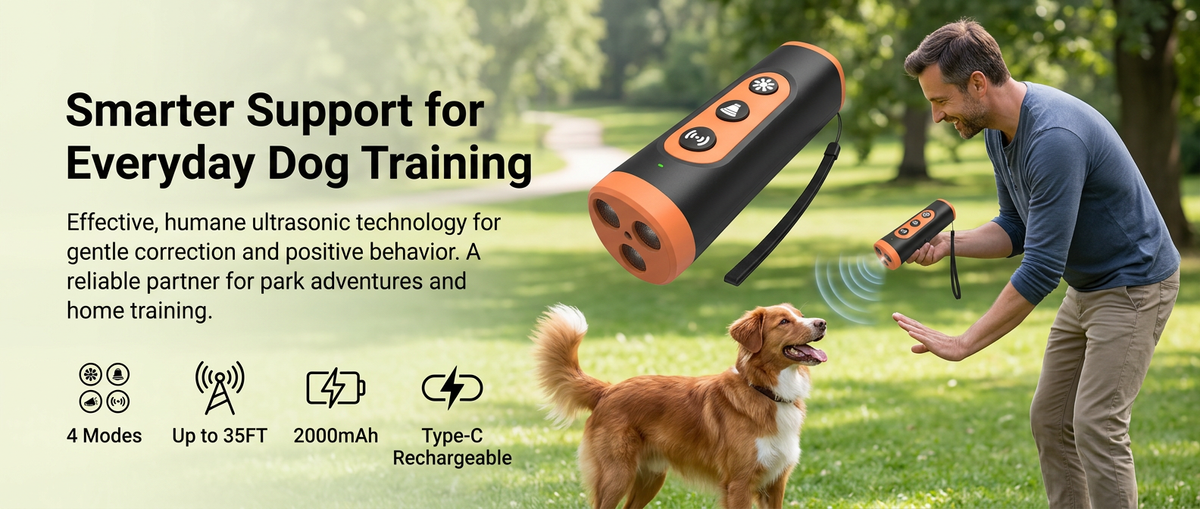 Owner actively using a rechargeable ultrasonic dog bark stopper while training a dog in an outdoor park.