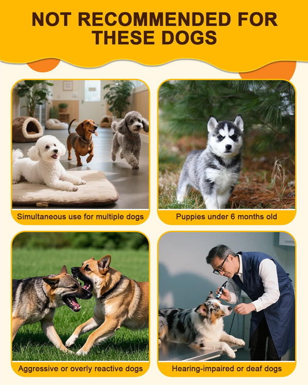 Dog bark stopper using ultrasonic technology to support bark-control training